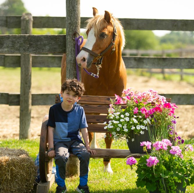 A rider sitting on a bench in front of Opie, who is tied to a post.