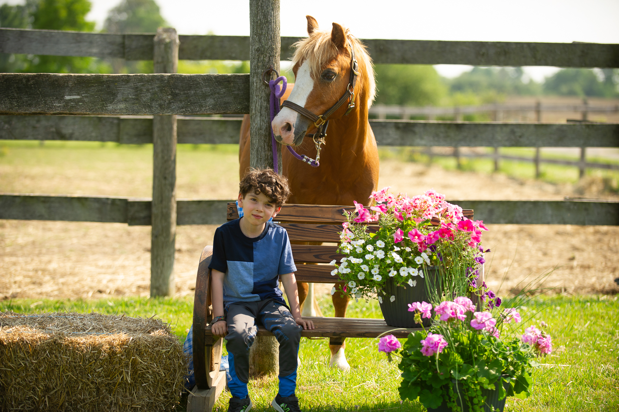 A rider sitting on a bench in front of Opie, who is tied to a post.