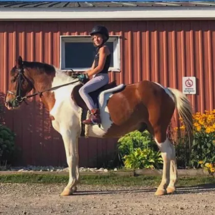 Riding Camp horse