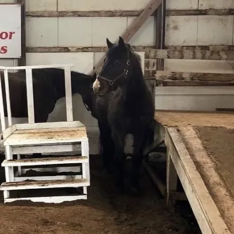 Ebony waiting at the ramp